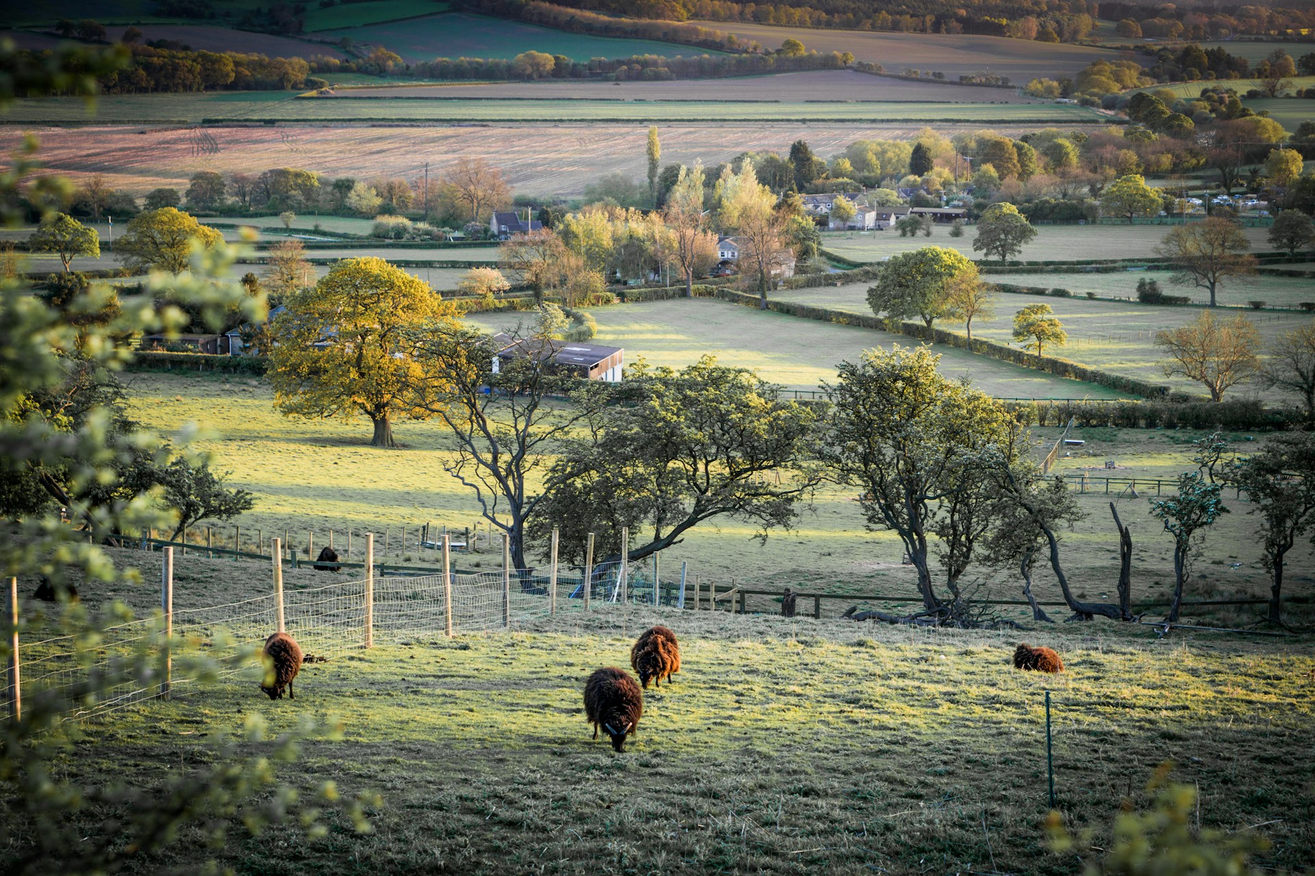To the Heavy Woollen District